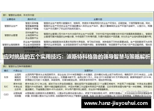 应对挑战的五个实用技巧:波斯特科格鲁的领导智慧与策略解析 应对挑战的五个实用技巧:波斯特科格鲁的领导智慧与策略解析