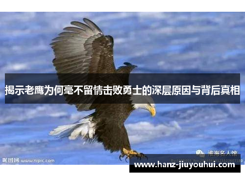 揭示老鹰为何毫不留情击败勇士的深层原因与背后真相 揭示老鹰为何毫不留情击败勇士的深层原因与背后真相