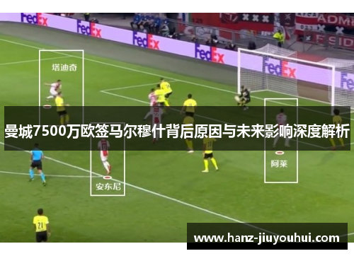 曼城7500万欧签马尔穆什背后原因与未来影响深度解析